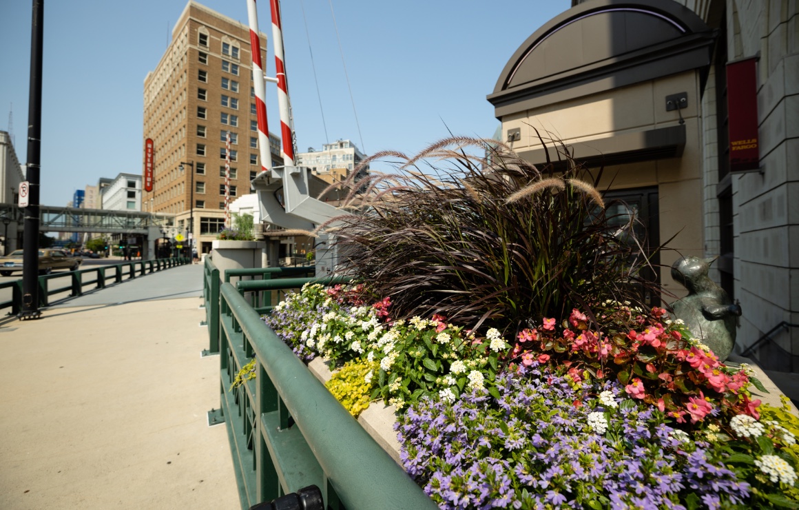 landscaping wisconsin avenue 