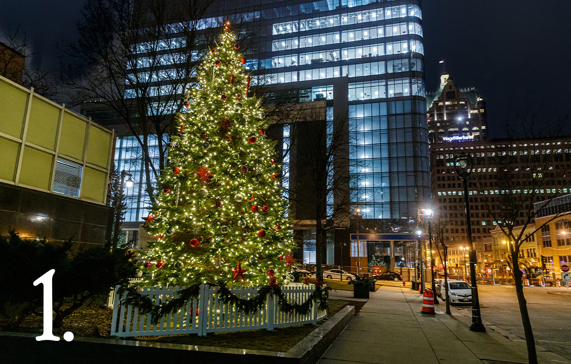 City of Milwaukee Christmas Tree