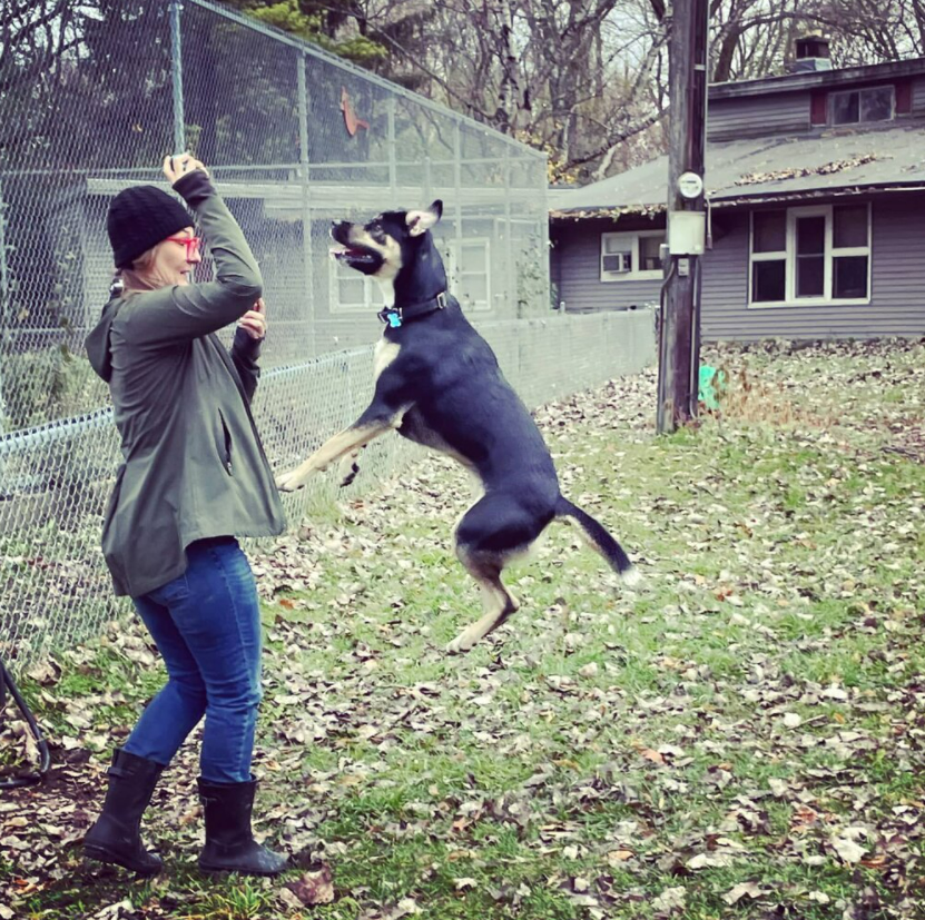 Photo via Off Leash MKE Instagram